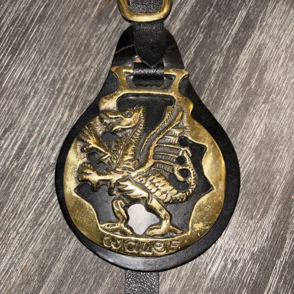 vintage leather Dragon strap brass medallion